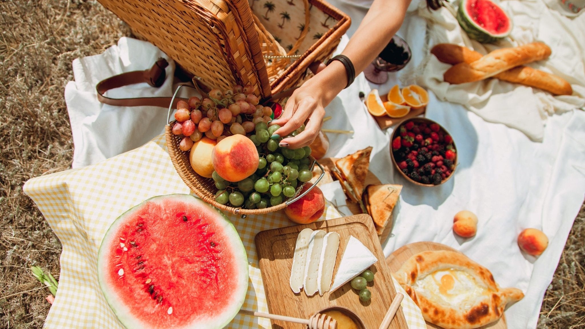 Anatomy of a Picnic - Nest & Bird