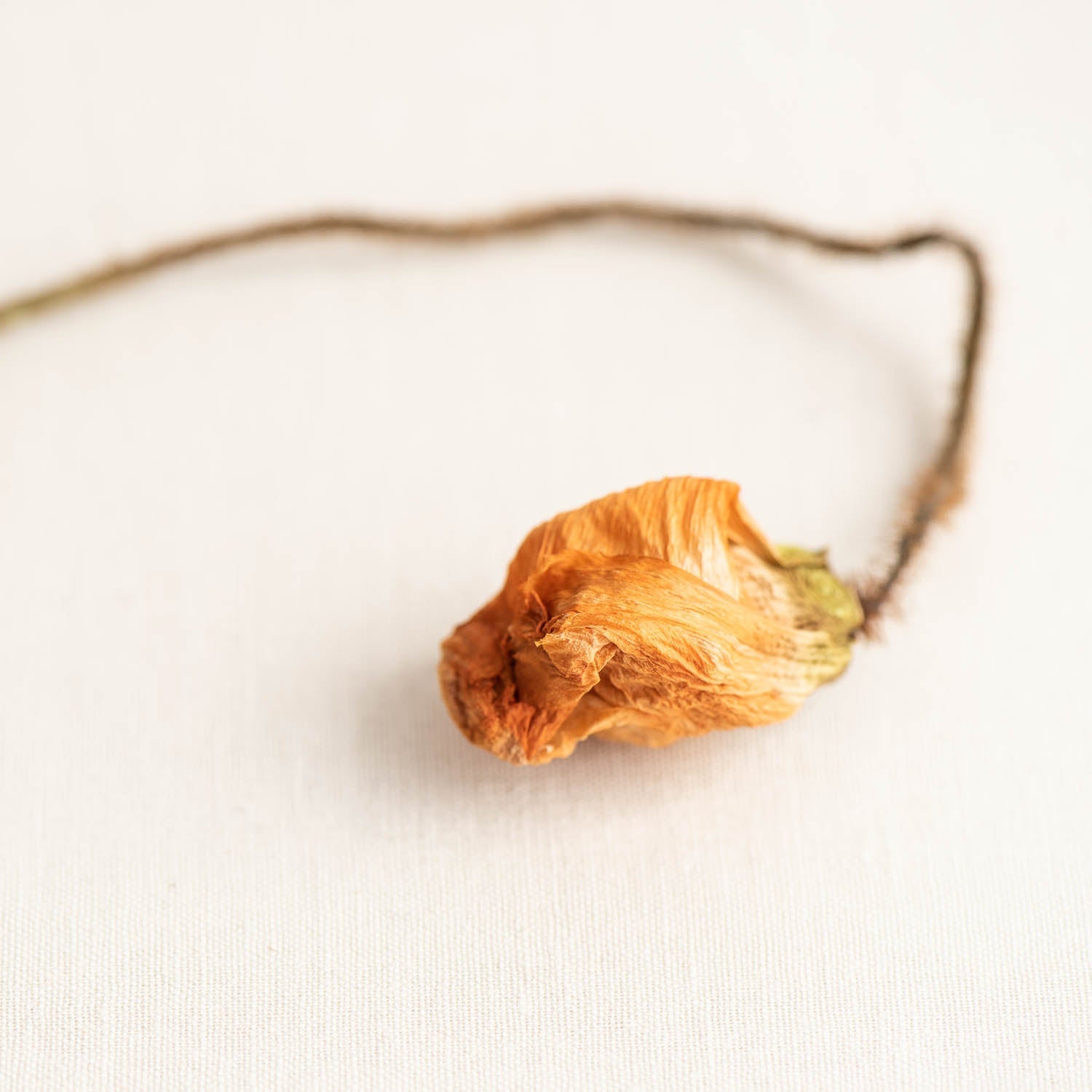 Gift Ideas For Someone Special - Nest & Bird
