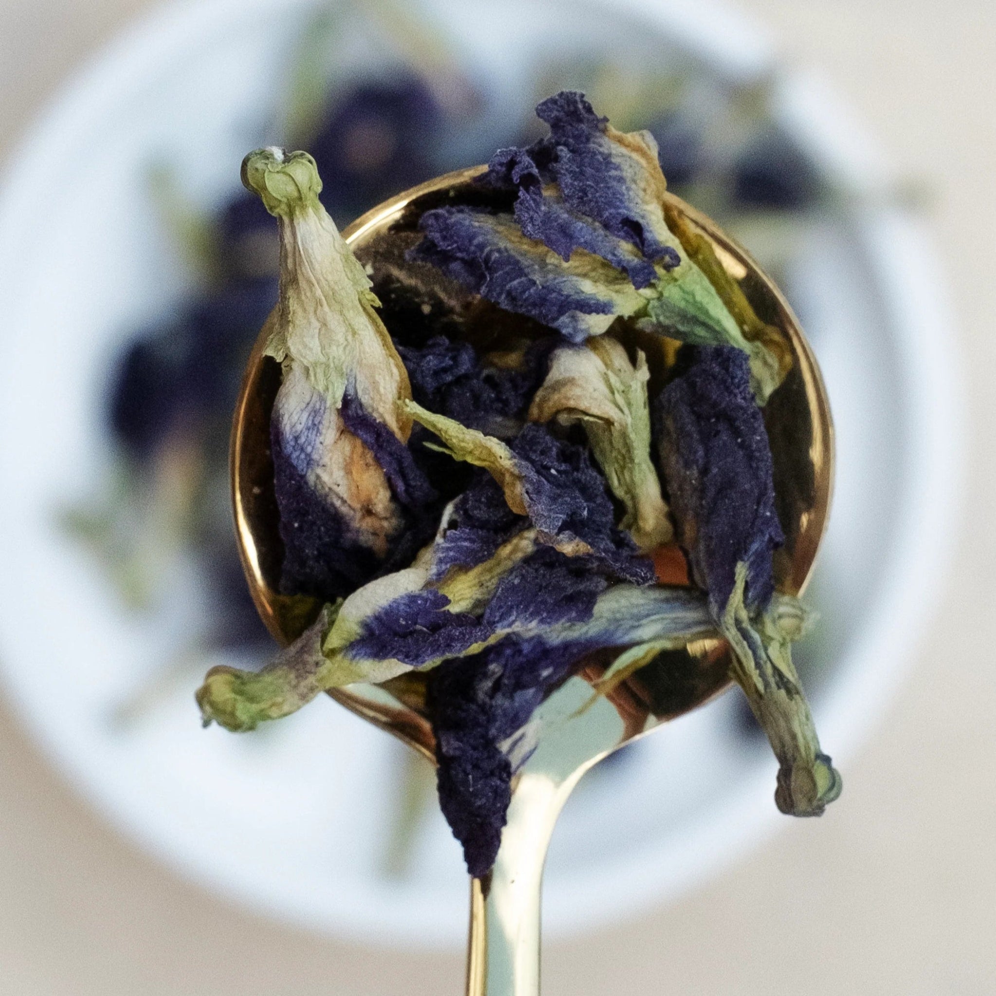 Blue Butterfly Tea - Nurtur Tea - Nest & Bird