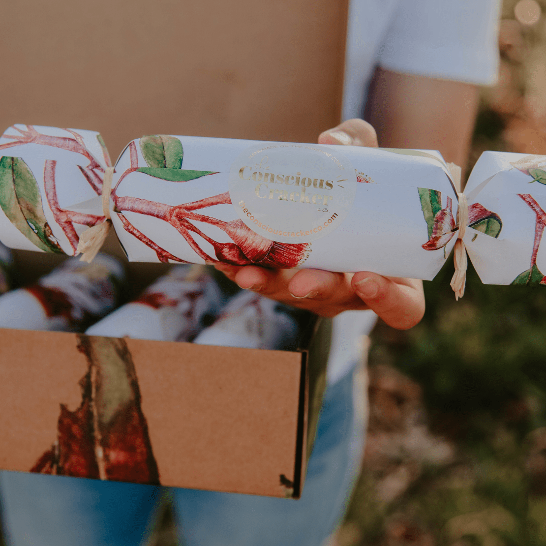 Conscious Christmas Crackers - Box of 6 - The Conscious Cracker Co. - Nest & Bird