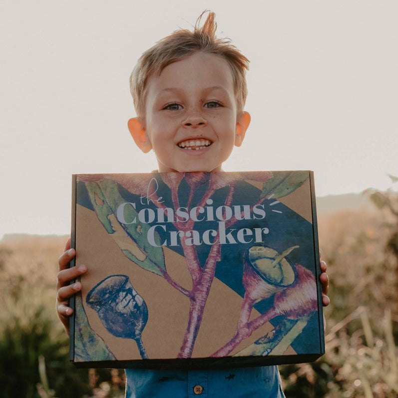 Conscious Christmas Crackers - Box of 6 - The Conscious Cracker Co. - Nest & Bird