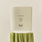 Flannel Flower Candle - Leif - Nest & Bird