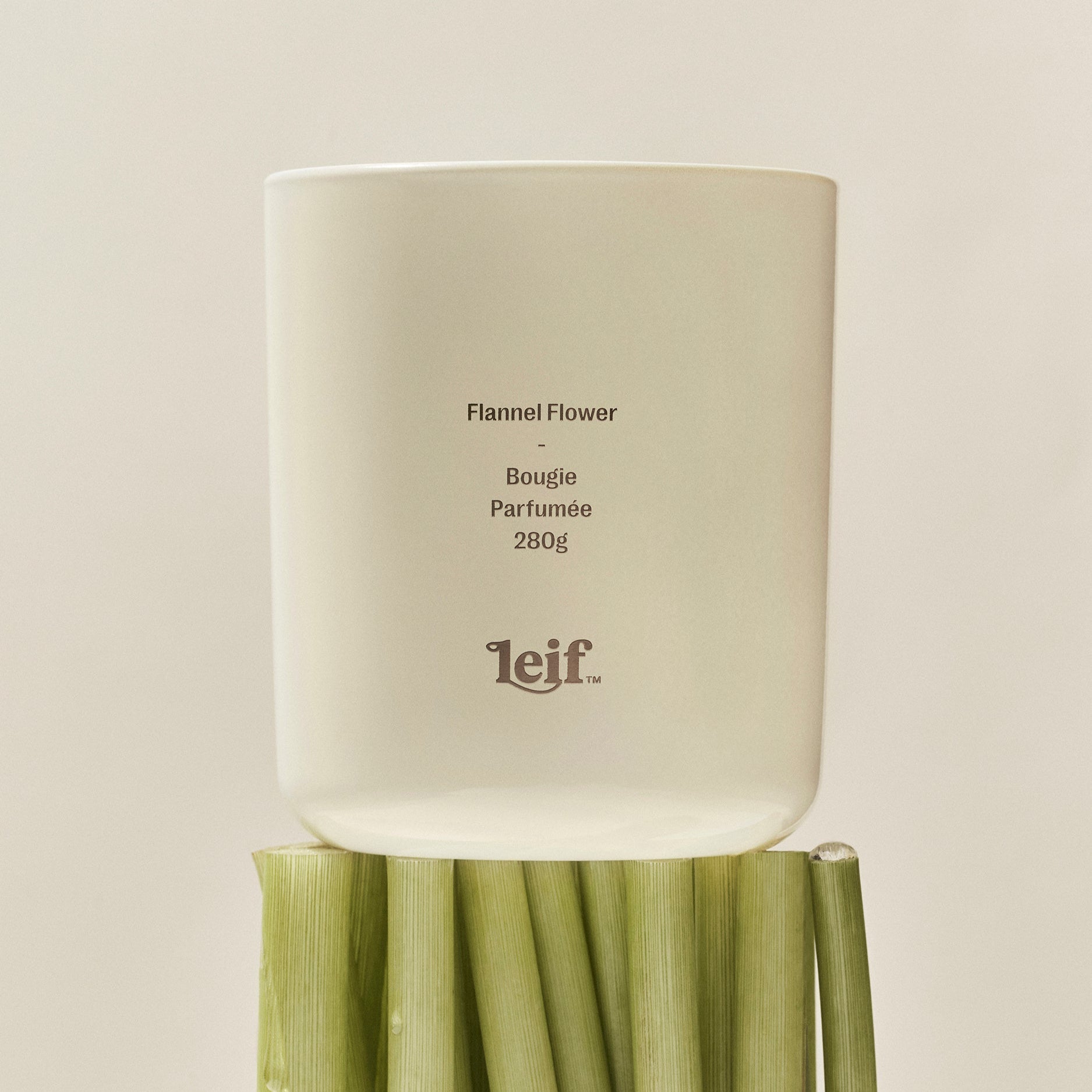 Flannel Flower Candle - Leif - Nest & Bird