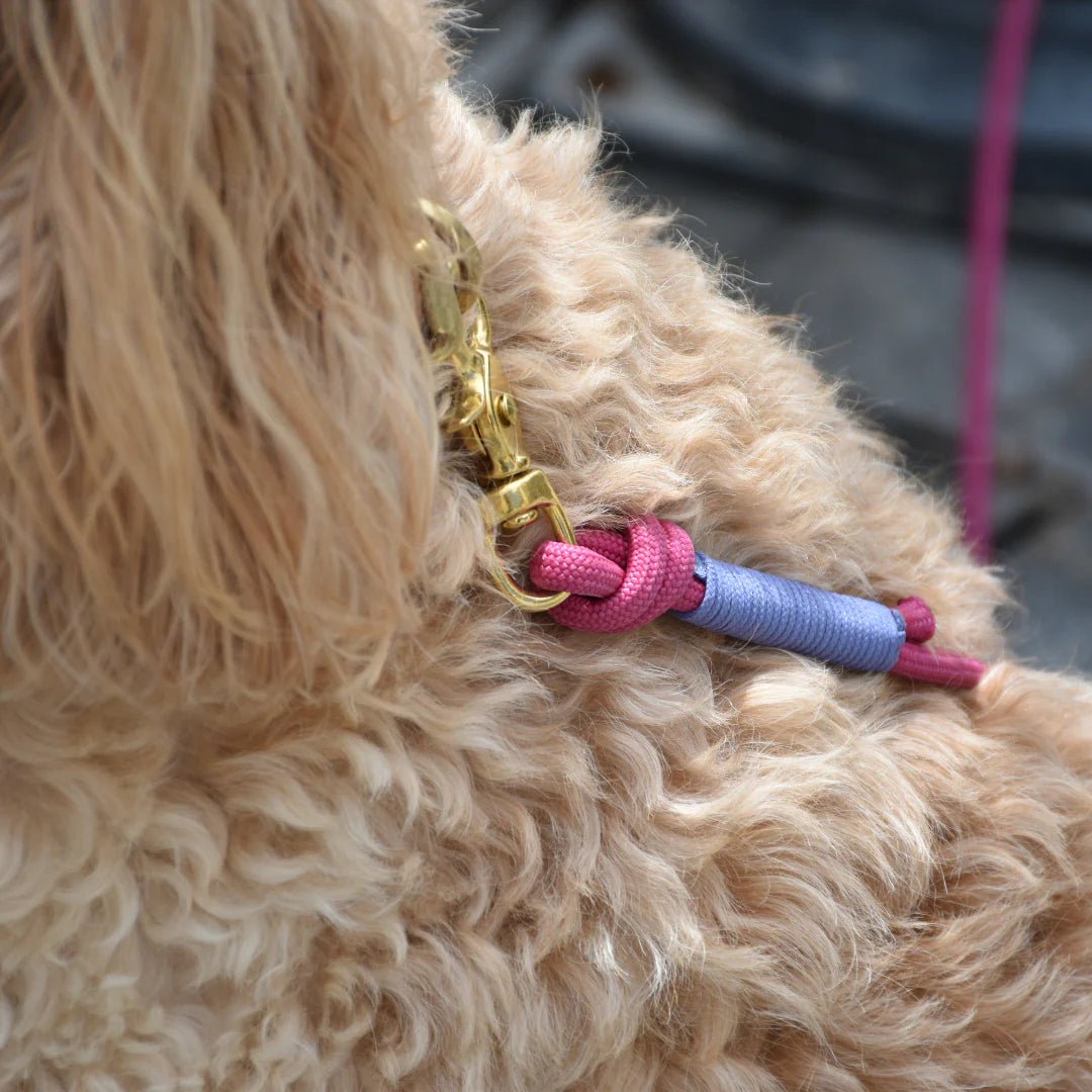 Florence Dog Lead - Dog & Human - Nest & Bird