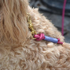 Florence Dog Lead - Dog & Human - Nest & Bird