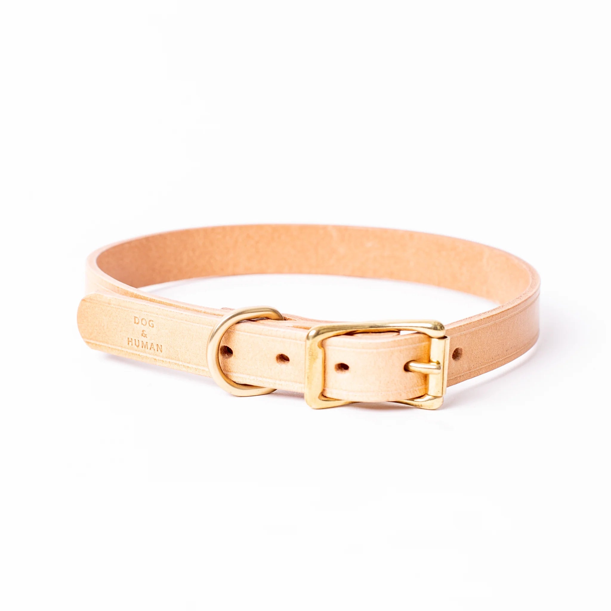 Leather Dog Collar - Large - Dog & Human - Nest & Bird