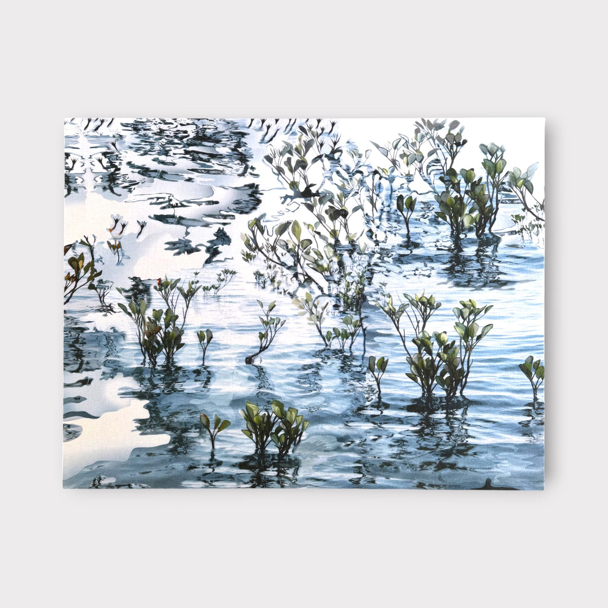 Mangrove Reflections Canvas - Two - Nest & Bird - Nest & Bird