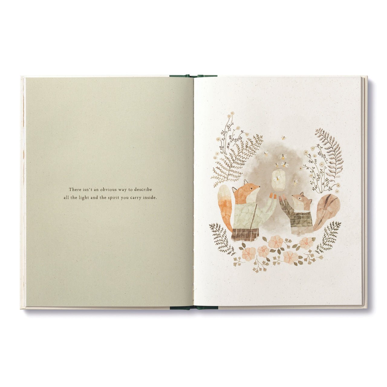 More Than A Little - Nest & Bird - Nest & Bird
