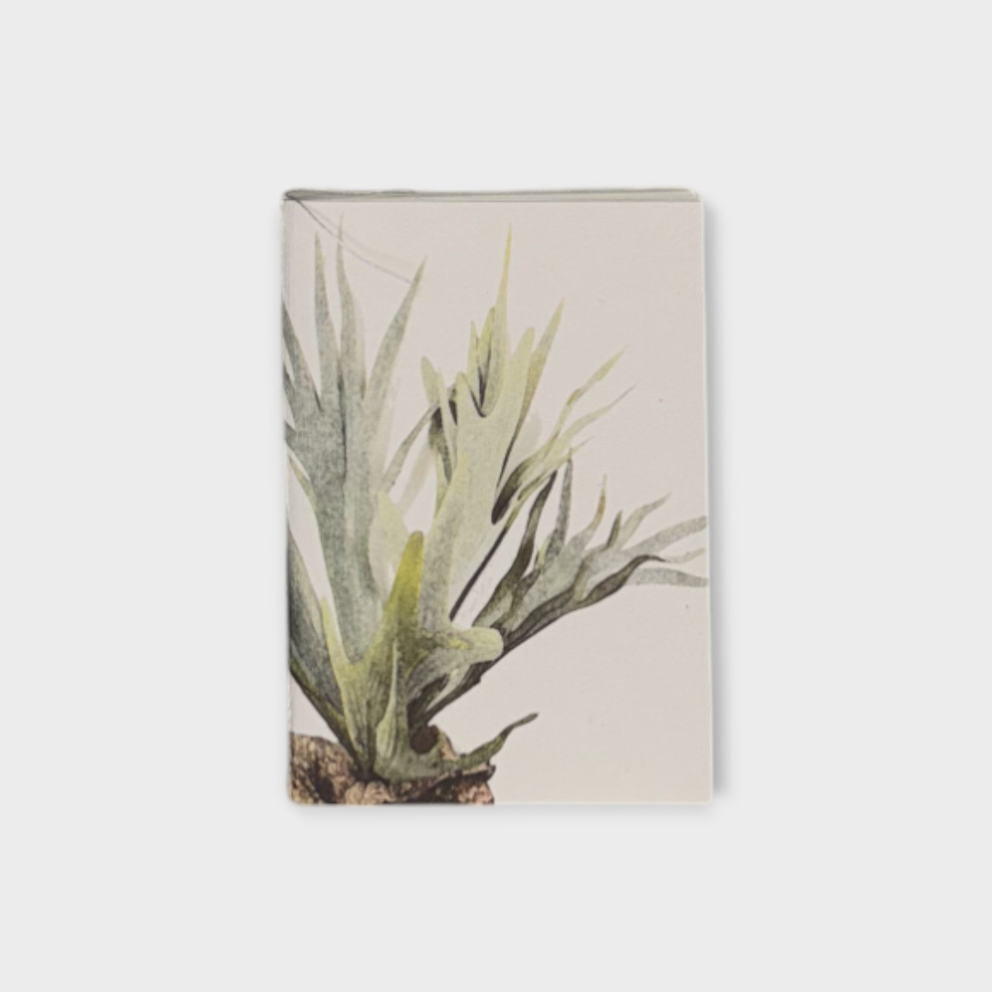 Recycled Paper Note Book - Small Botanical 3 - Saraswati Papers - Nest & Bird