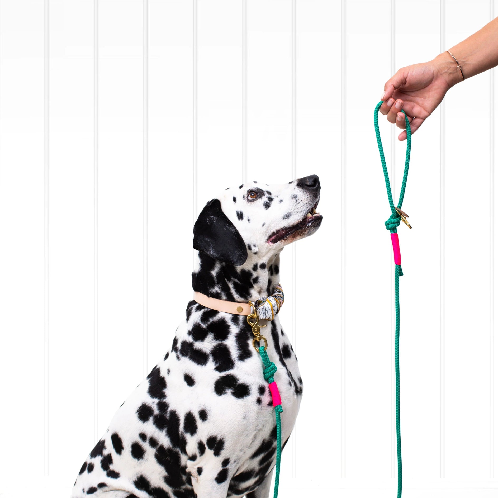 San Jose Dog Lead - Dog & Human - Nest & Bird