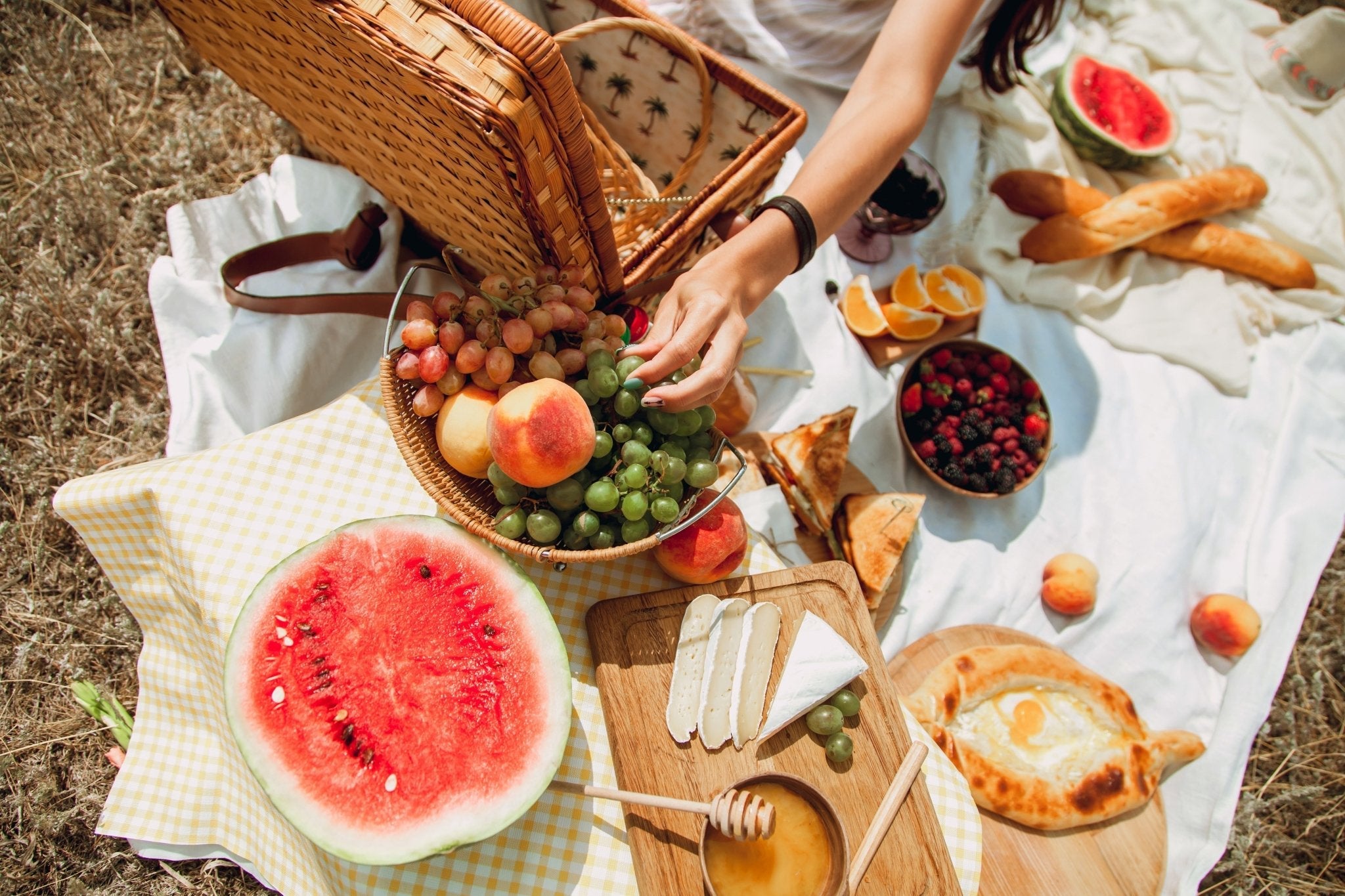 Anatomy of a Picnic - Nest & Bird