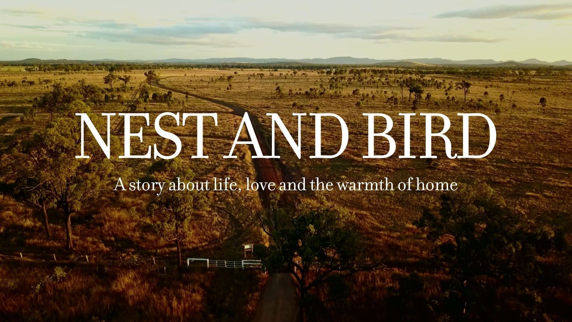Nest & Bird: A Story about life, love and the warmth of home - Nest & Bird