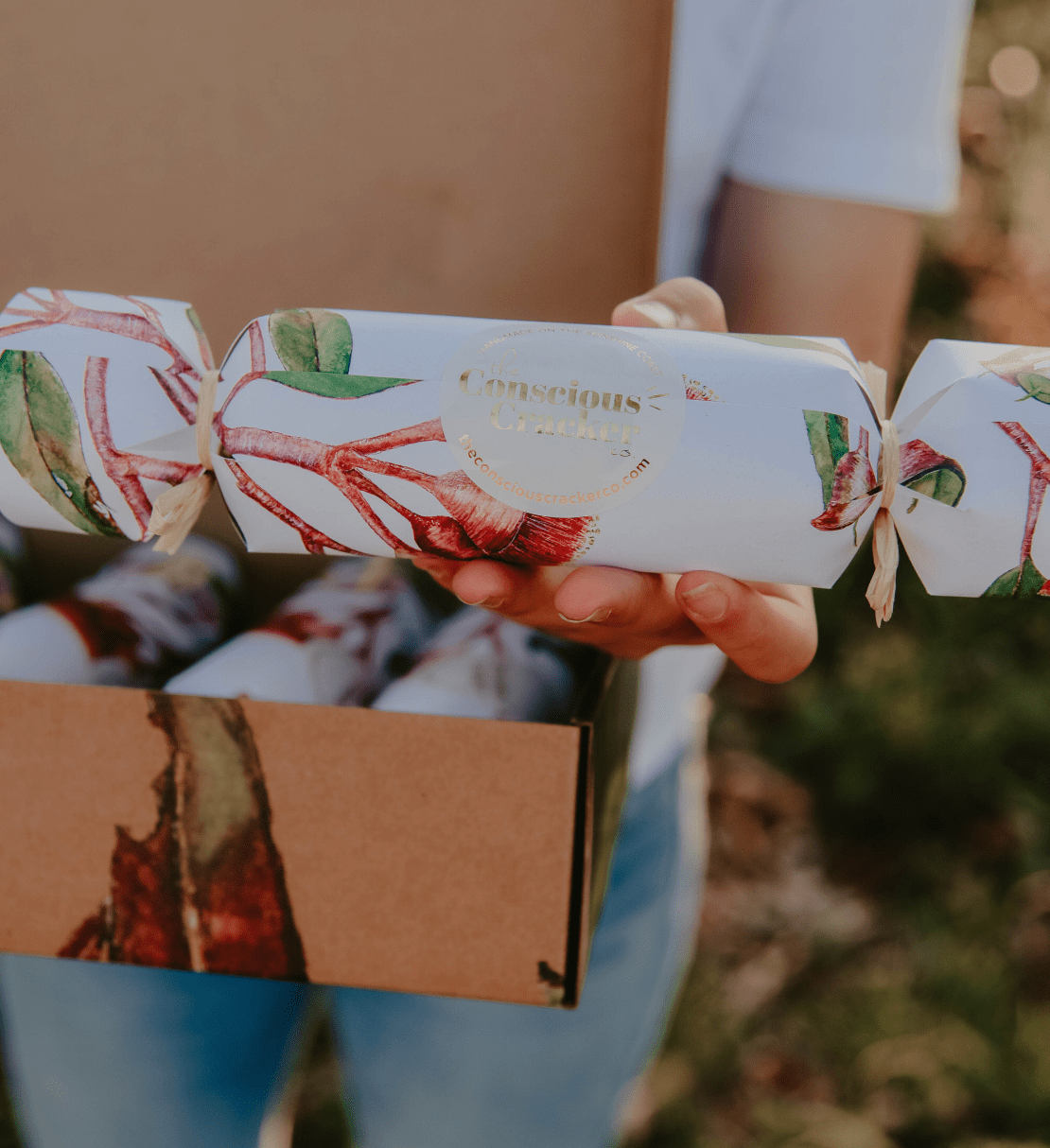 For the Secret Santas - Nest & Bird