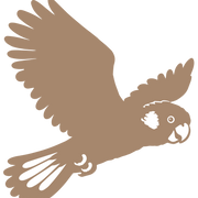 Nest & Bird logo