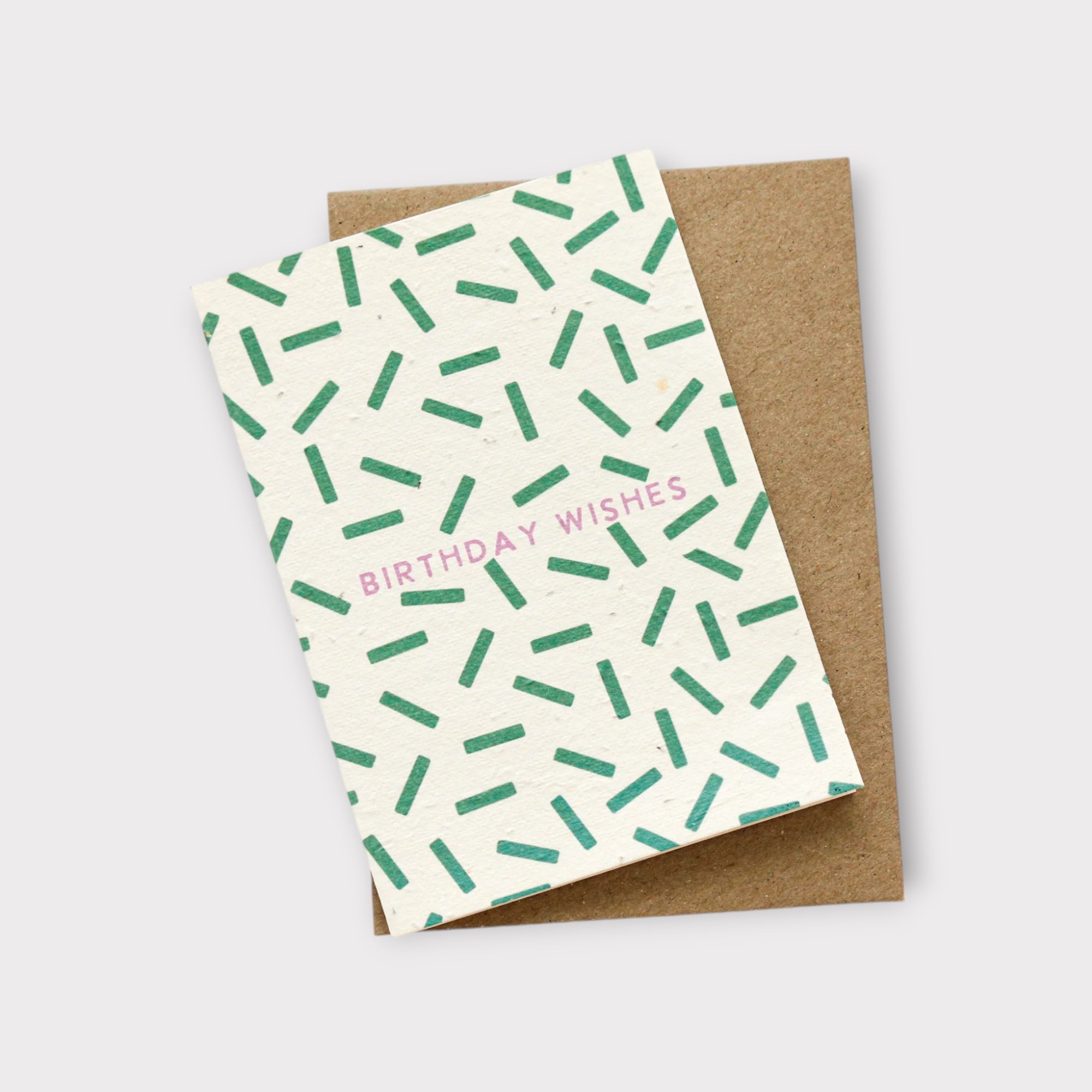 Birthday Wishes Plantable Card - Hello Petal Cards - Nest & Bird