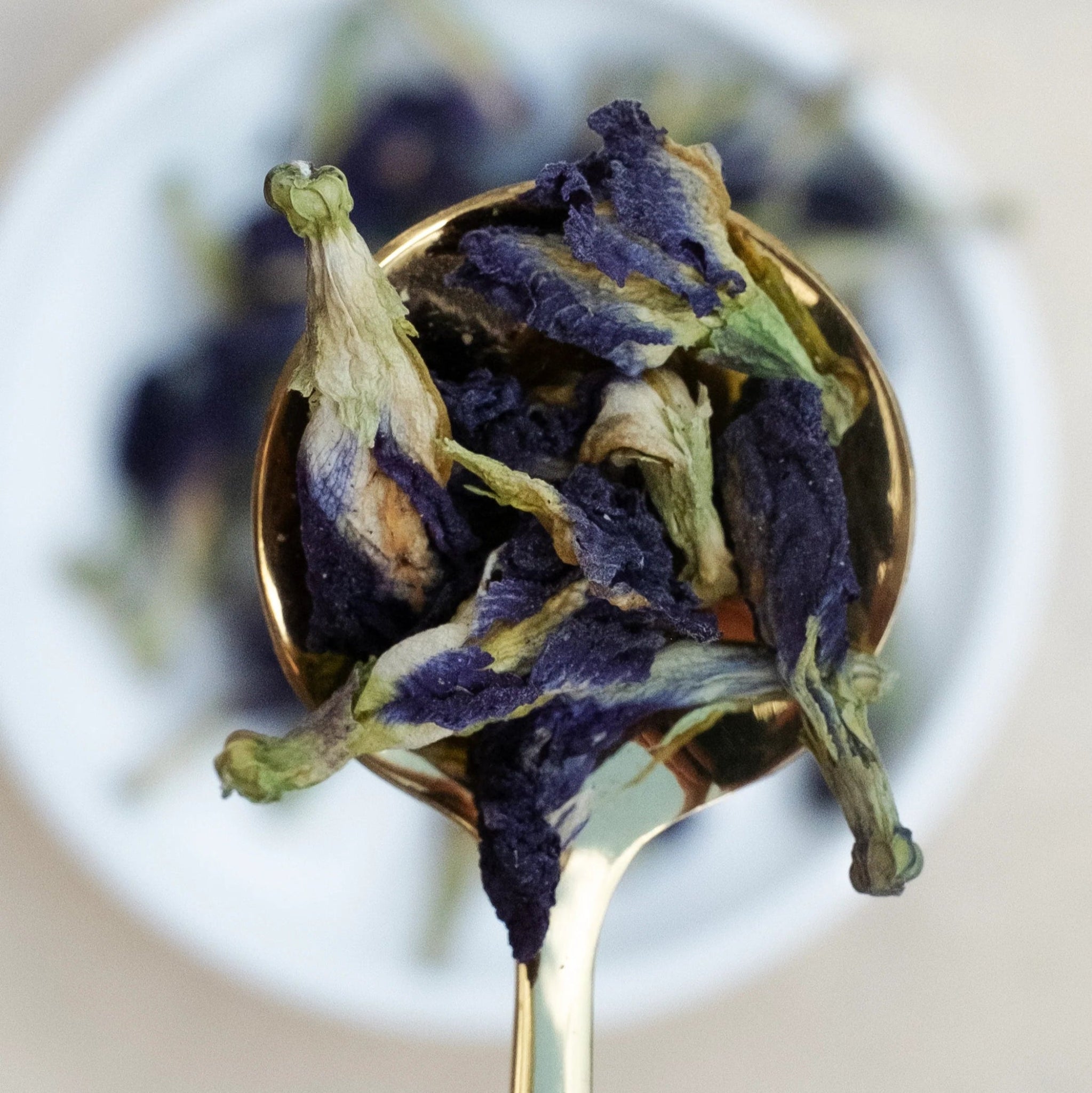 Blue Butterfly Tea - Nurtur Tea - Nest & Bird