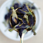 Blue Butterfly Tea - Nurtur Tea - Nest & Bird