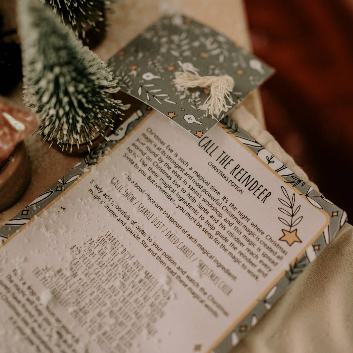 Christmas Eve Potion Pouch - Call the Reindeer this Christmas - The Little Potion Co - Nest & Bird