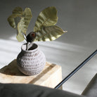 Cotton Stone Vase Round - Soft Beige - Matteurs - Nest & Bird
