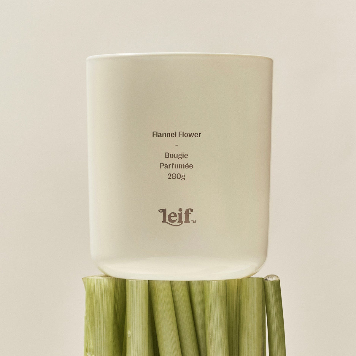 Flannel Flower Candle - Leif - Nest & Bird