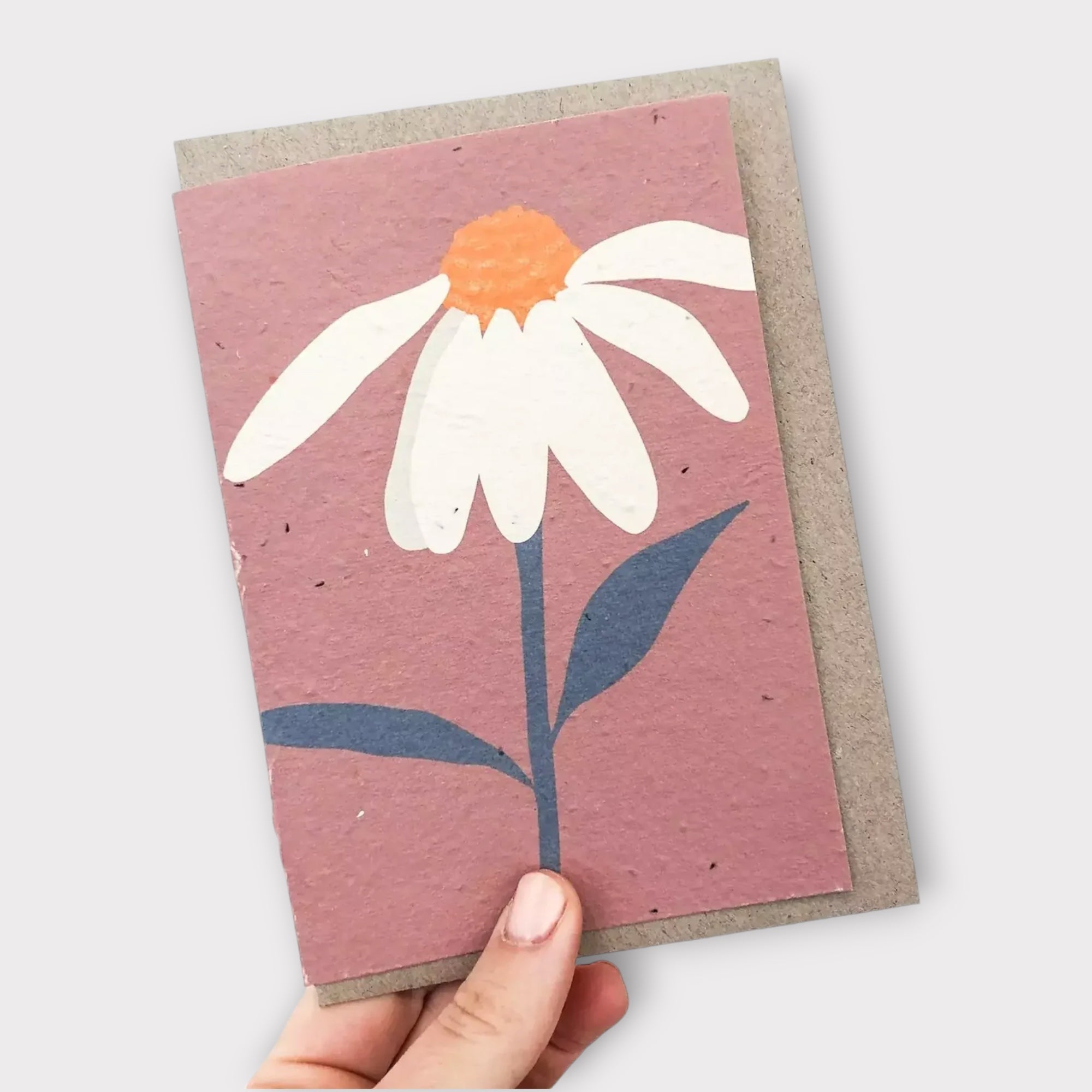 Hey Flower Plantable Card - Pink - Hello Petal Cards - Nest & Bird