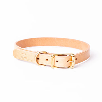 Leather Dog Collar - Large - Dog & Human - Nest & Bird