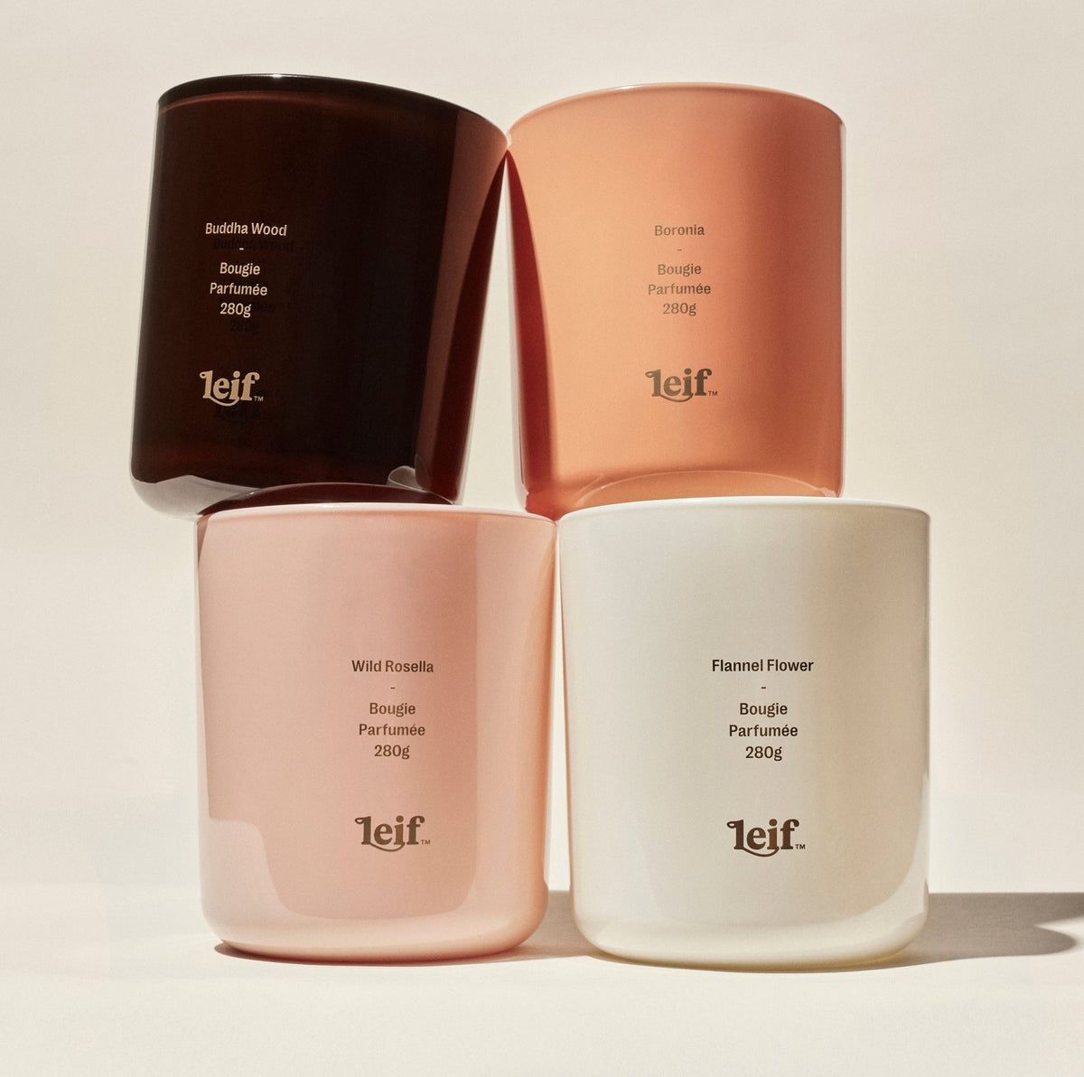 Leif Wild Rosella Candle -Leif- Nest & Bird