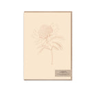 Nude Waratah Card - Typoflora - Nest & Bird