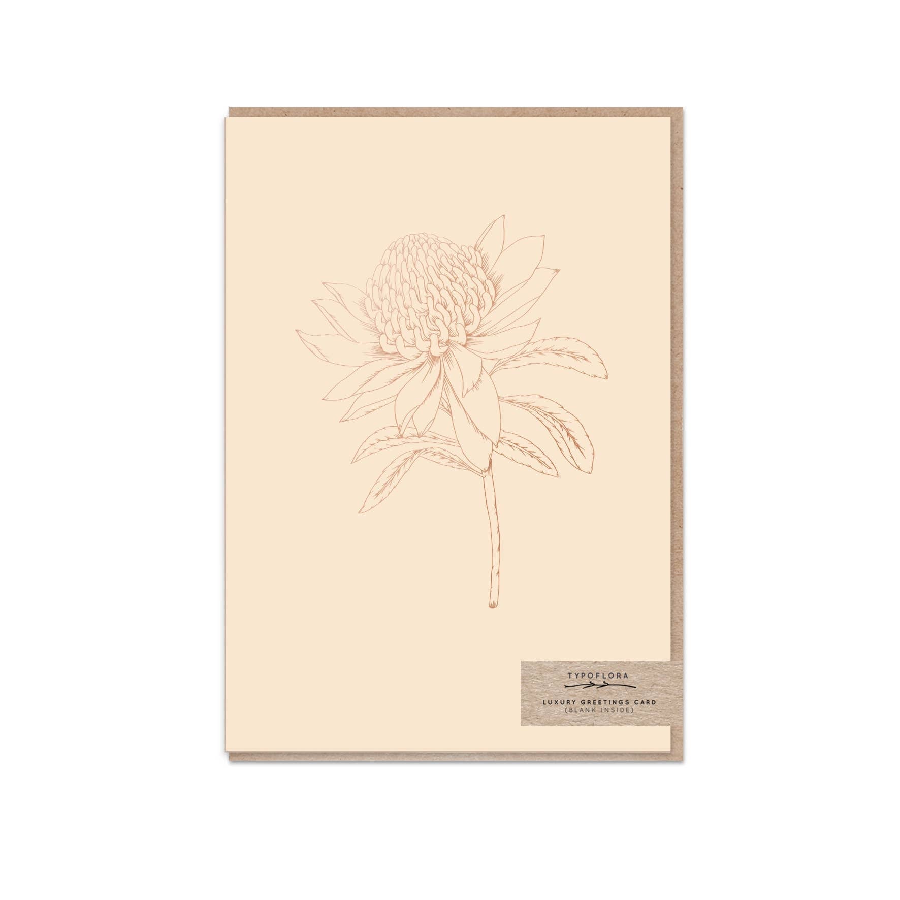 Nude Waratah Card - Typoflora - Nest & Bird
