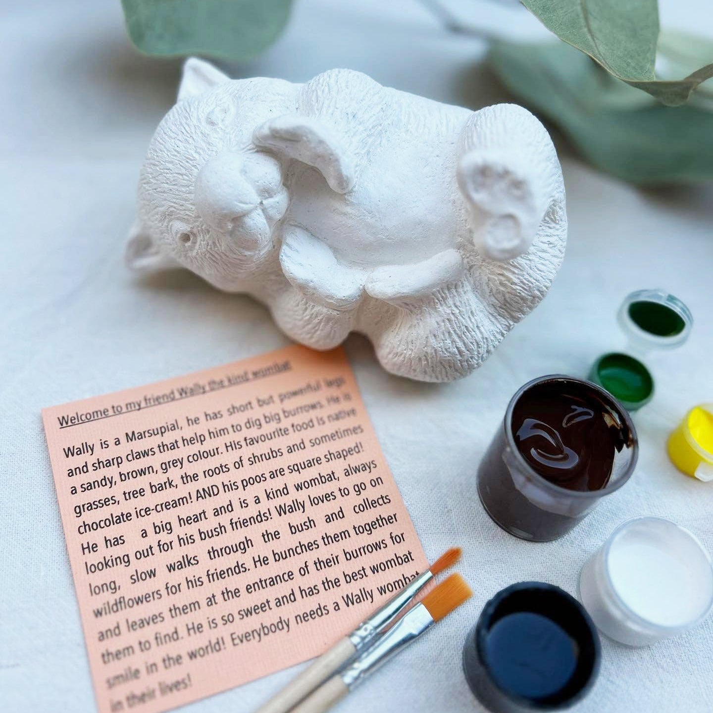 Paint Your Own Wally the Wombat - Not Just Wombats - Nest & Bird