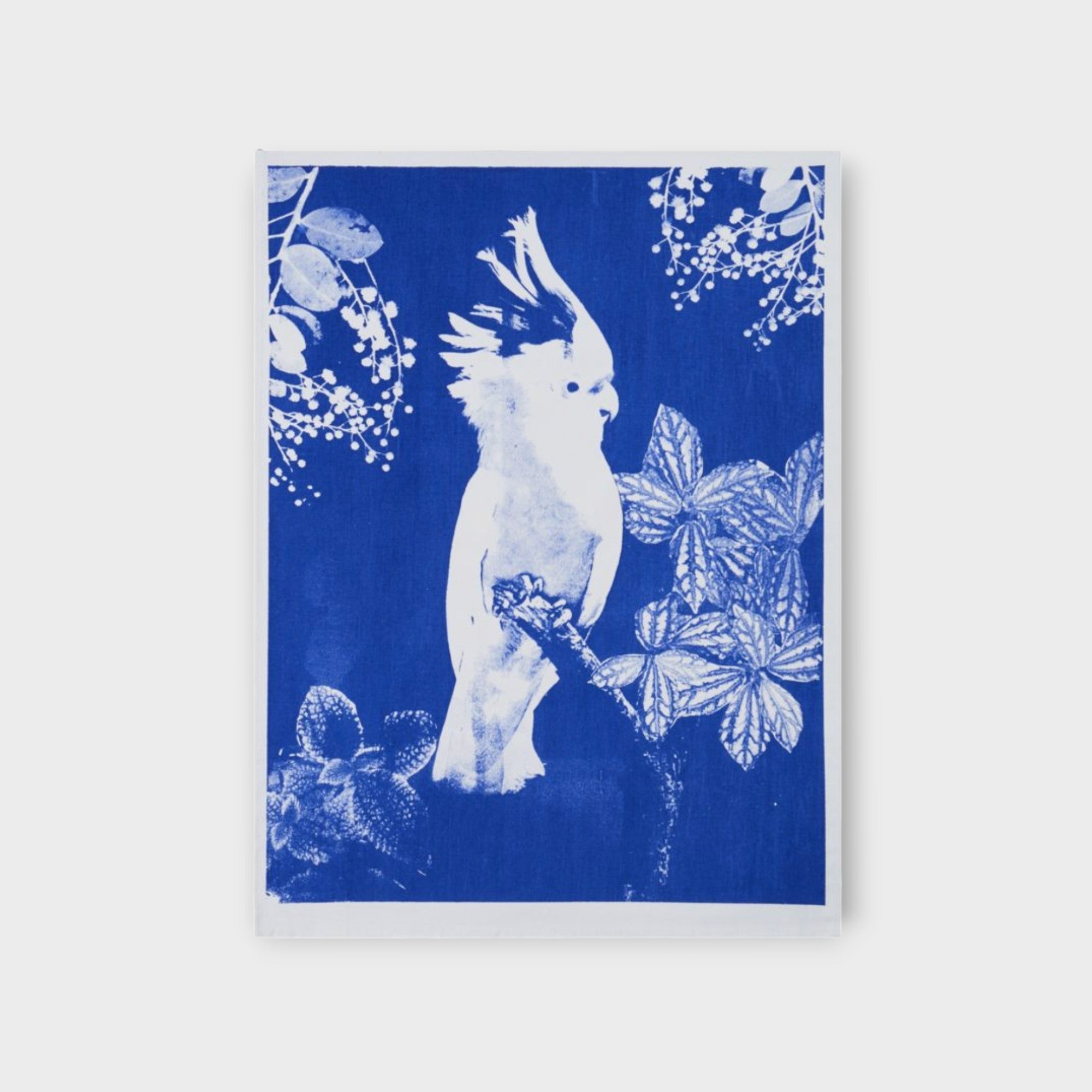 Tea Towel - Big Major Blue - Bonnie and Neil - Nest & Bird